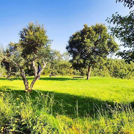 Fatela Casa Florestal - Pure Nature Cabins מראה חיצוני תמונה